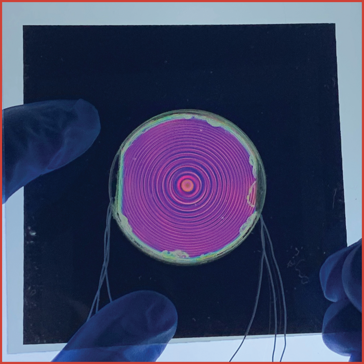 BNS Acquisition Information - Meadowlark Optics